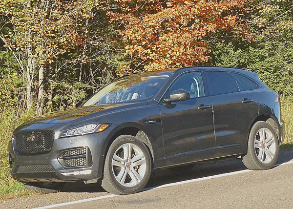 Yes, Jaguar has joined the SUV craze with its stunning new F-Pace, including the R-Sport test model. Photo credit: John Gilbert