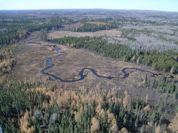 Image is of the proposed NorthMet Exchange lands, Partridge River, Superior National Forest, MN. Source: Barr Engineering, PolyMet - EIS