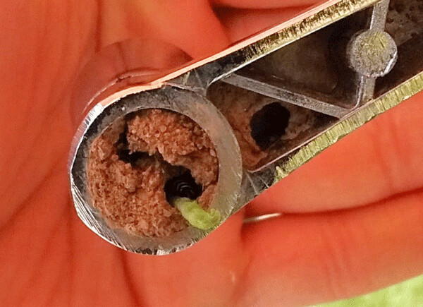 A potter wasp carried mud and sand into the hollow handle of an umbrella crank to create a snug nest. After laying an egg inside, her job becomes to provision the nest with caterpillars and other food for her larva to eat. If you look carefully, you can see the black-and-yellow abdomen of the wasp inside as she drags the green caterpillar in with her. Photo by Emily Stone.