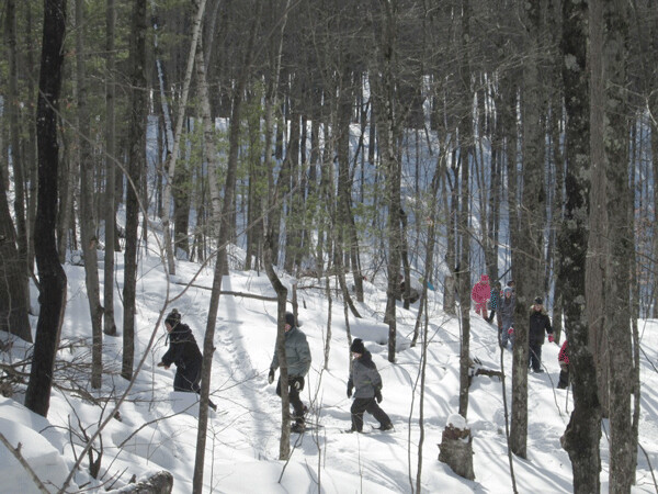 Any day is a great day when you get to snowshoe through the winter woods. Photo by Emily Stone.