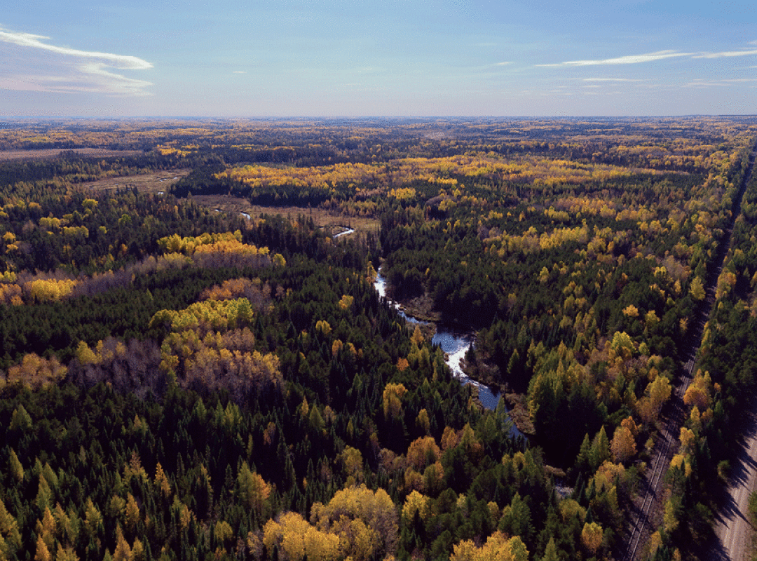 PolyMet mine project area. Partridge River south. Credit to - Photo: Rob Levine