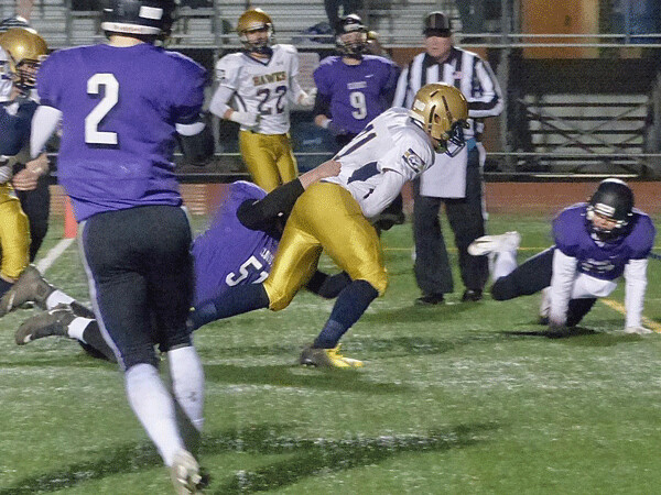 Hermantown's David Cornelius scored two touchdowns in the Section 7AAAA final against Cloquet, and leads the Hawks into Saturday's state quarterfinal against Willmar at Monticello.