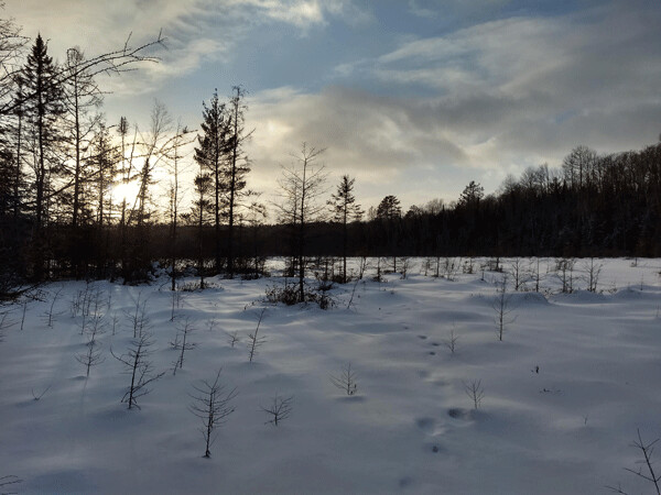 The Secret Bog is only secret because it’s hard to get to. Photo by Emily Stone.