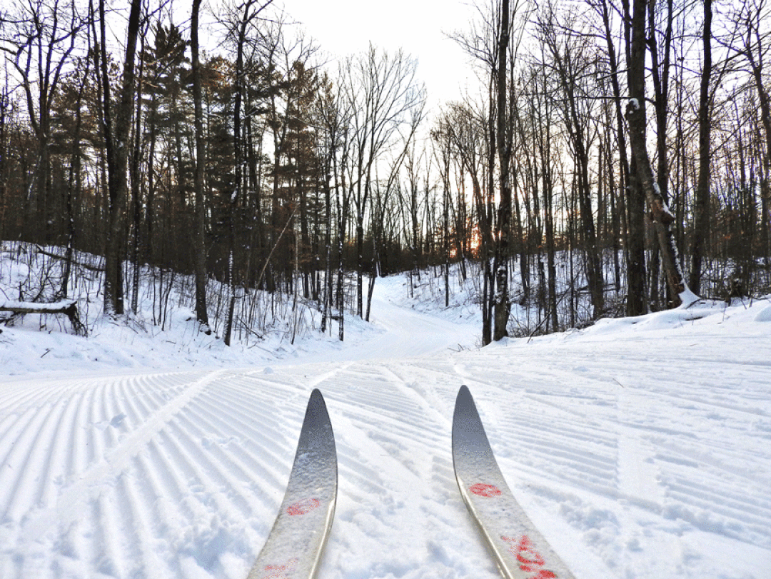 Man-made snow holds up better than natural snow in warm temperatures, so the early season loop at the Birkie start area is still skiable even after unseasonably warm weather. Photo by Emily Stone. 
