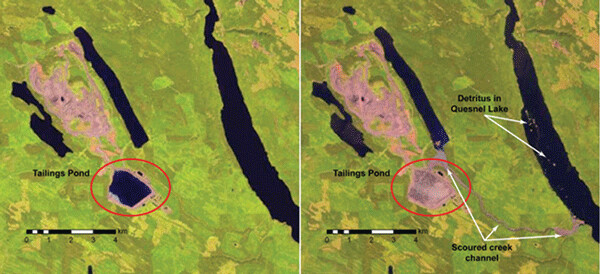 Before and after satellite images of the Mount Polley, BC tailings dam disaster.  Images provided by Gary Kohls.