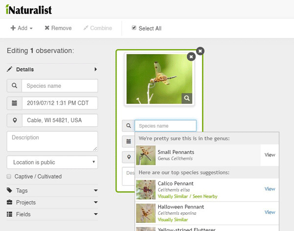 iNaturalist: The iNaturalist website and app offer identification help when you upload photos of living things. Screenshot of www.inaturalist.org. 
