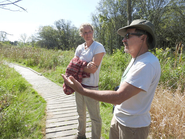 Jenn Yunker and Don Skalla find some stories in nature along the boardwalk at the Kishwauketoe Nature Conservancy. Photo by Emily Stone.