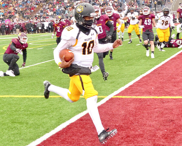 Wayne State freshman quarterback Tavian Willis faked out the entire UMD defense to score from the 2 on a sprintout for a 7-7 halftime tie. Photo credit: John Gilbert