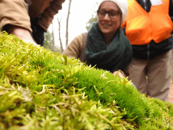 Ingrid Larson was amazed by how many different types of moss we could see on a single rock, once we looked closer. Photo by Emily Stone. 