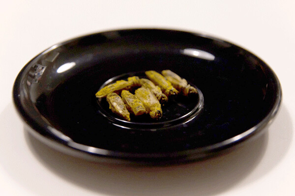 Some environmentalists are opting to meet their dietary protein needs by eating bugs—like this Thai green curry crickets dish—instead of meat. Credit: Flavio Ensiki, FlickrCC.