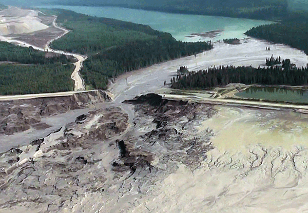 Failure of the Mount Polley tailings basin in British Columbia destroyed everything in its path,  also placing populations of Chinook salmon and rainbow trout at risk. (Source: Cariboo Regional District)